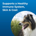 Pet-Ag Dyne High Calorie Liquid Nutritional Supplement for Dogs & Puppies 8 Weeks and Older - 32 oz, Pack of 2 - Support