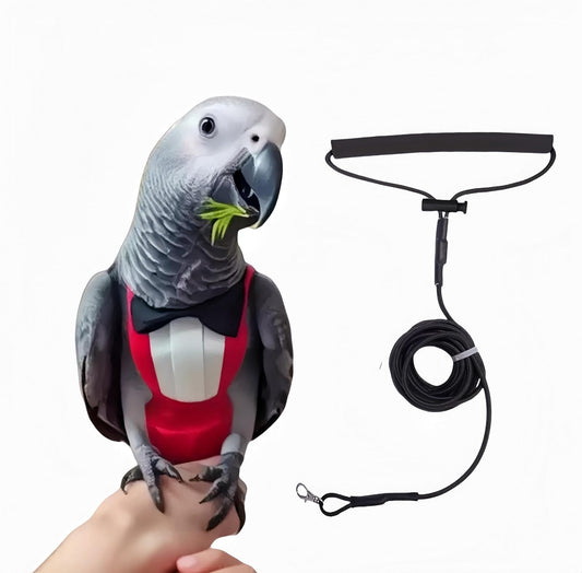 Bird Diapers with Bow Bird Harness Tuxedo Flight Suits with 80in Flying Leash Parrot Nappy with Waterproof Inner Layer U