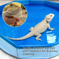 Gxsdj Bearded Dragon Foldable Bath Pool, Lizard Bathtub with Soft Brush, Collapsible Reptile Swimming Pool, Bearded Dragon Accessories with Rubber Gloves for Puppy Dogs Cats