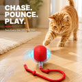 Rcxnm Interactive Cat Ball Toy with String, Interactive Cat Toys Ball Fast Rolling，Red, Bouncing Teaser Wand