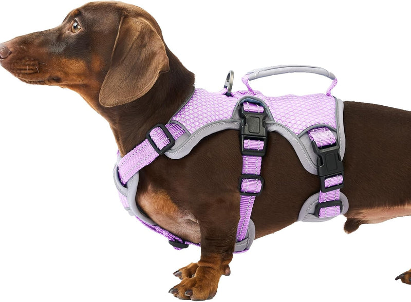 Huntboo Escape Proof Dog Harness, Dachshund Harness, Reflective Dog Harness with Handle, Durable,Adjustable Vest for Sma