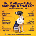 Miracle Vet Medicated Dog Shampoo for Itchy Skin Relief - Antifungal for Dog Allergy Relief, Yeast Infection, Hot Spot & Dry Skin Anti-Itch Treatment Wash - Hydrocortisone (16 oz)