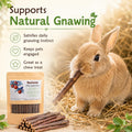 Apple Chew Sticks 100g Mini Molar Toys for Small Pets