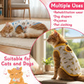 Meyeyaia 6 Pack Recovery Suit for Cats, Breathable Female and Male Onesie Cat Recovery Suit E Collar Alternative Pajama for After Surgery Spay Abdominal Skin Anti Licking(Medium)