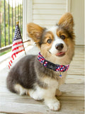 Lionheart glory American Flag Dog Collar, 4 of July Patriotic Independence Dog Collar Heavy Duty Adjustable Collars for Medium Dogs Pet Gift Summer Collars