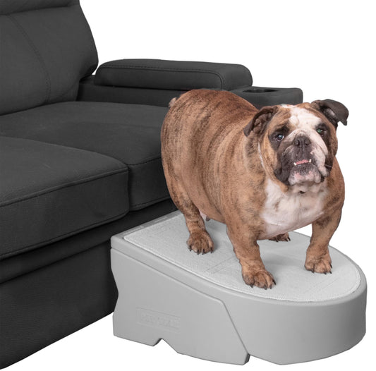 Pet Gear Stramp Stair and Ramp Combination for Dogs/Cats, Easy Step, Lightweight/Portable, Sturdy, Easy Assembly (No Tools Required), Fog