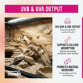Arcadia Pro T5 UVB Lighting Kit - 39W - Dragon