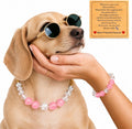 Handmade Dog Collar and Matching Owner Friendship Bracelet Set