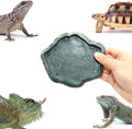 SLSON Small Reptile Feeder Terraium Bowl Plastic Shallow Reptile Feeder for Food and Water Feeding Dish for Lizard Gecko