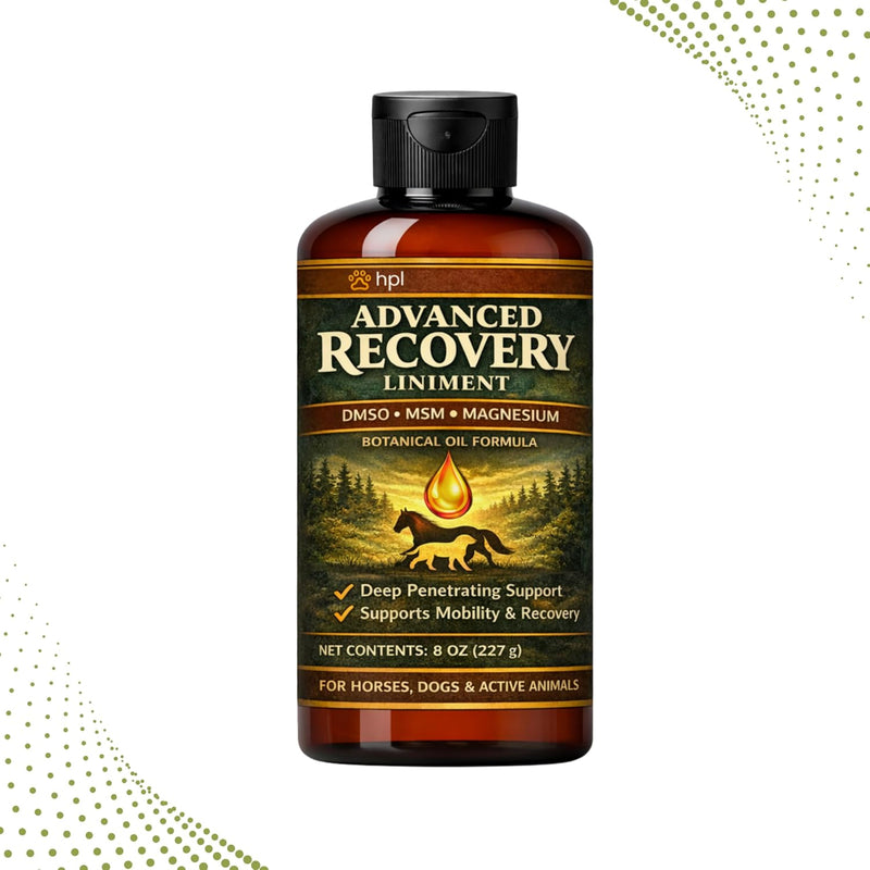 Healthy Paw Life Advanced Botanical Liniment for Horses, Dogs & Active Animals | Fast-Absorbing Daily-Use Formula