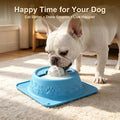 Slow Feeder Dog Bowl for Liquid Treats, Anti-Slip Lick Bowl, Bone Broth and Yogurt Puzzle Feeder, Dog Enrichment Toys No