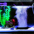 PINVNBY 4.2-Inch Air Stone Disc Bubble Diffuser with Suction Cups for Oxygenation in Fresh/Saltwater Tanks, Ponds, Hydro