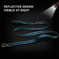Twoear 6FT 1IN Heavy Duty Dog Leash for Large Dogs with 2 Padded Handles