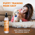 Stop the Spray Dog Marking Stopper – Pee Deterrent & Potty Training