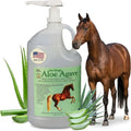 Doc Hoag's Aloe Vera Horse Supplement, Gastric & Ulcer Support, 1 Gallon