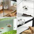 Jumping Spider Feeding Dish 1 Pack Magnetic Water Bowl with Tweezers