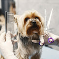 12 PCS Scissors Finger Rings Soft Silicone Scissors for Pet Grooming Scissors Accessories for Animal Hair Cutting Thumb 