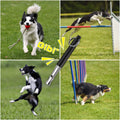 【2PCS】 Silent Dog Whistle, Suitable for Long-Distance Recall Training, Suitable for Various Dog Breeds (Such as Golden Retrievers, German Shepherds, Labrador Retrievers