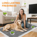 Puppy Pads 36"×51" Ultra-Large Carbon Pee Pads for Dogs 40 Count