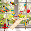 Sonwyoung 12 Pcs Parakeet Cockatiel Bird Toys, Parrot Swing Chewing Hanging Toys, Colorful Style Parrots Cage Accessories, Interactive Chew & Climb Play Set (Basic Style)