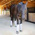 Jeffers Romper Stomper Fly Boots for Horses - Grey, Large – Breathable Mesh Leg Wraps for Insect Protection, Stable Acce