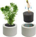 12 PCS Aquarium Plant Weight Ceramic Ring with Black Sponge