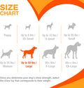Nylabone Power Chew Toy Bundle, Dog Toys for Aggressive Chewers, 3 Pack