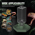 Reptile Water Dispenser Bowl for Bearded Dragon Tortoise