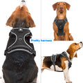 Light Up Dog Harness, LED Rechargeable Safety Dog Harness for Night Walking