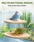 2 PCS Bird Perches for Cage, Fan Bird Perch, Flat Perches for Birds Cages, Birds Platform for Parakeet Conure Cockatiel 