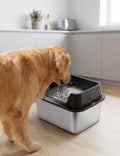 11L No Spill Dog Water Bowl with Splash Guard & Slow Drink Disk