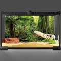 36x18 in Terrarium Backdrop Green Forest Tree Reptile Habitat Background