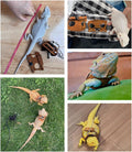 Bearded Dragon Harness and Leash Adjustable(M,L,XL) - Soft Leather Reptile Lizard Leash Accessories for Bearded Dragon, 