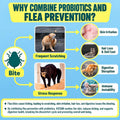 Flea and Tick Prevention for Cats, 500 Crunchy & Krill Chews with Probiotics for Cats, Cat Flea Chews with Gut & Digestive Support, Skin & Coat Support for All Breeds & Ages, Chicken Flavor