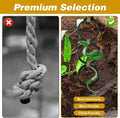 Snake Enclosure Accessories, Reptile Climbing Ring Hammock Set, Snake Tank Accessories for Ball Python, Corn Snake, Leop
