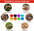 Silicone Gecko Feeding Cups, Reusable Small Reptile Food Dish Gecko Tank Accessories Crested Geckos Food and Water Feedi