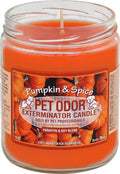 Pumpkin & Spice/1