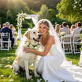 Bwogue 3-Piece Dog Wedding Flower Collar, Pearl Leash & Veil Outfit Set