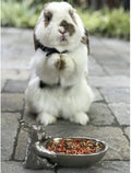 Herbivore Treat (3 oz.) - Healthy Natural Mixed Treat - Sweet Potatoes, Carrots, Green Peas, Oats, Rose Petals - For Chi