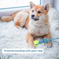 Dog Rope Toy Tug Outdoor Puppy Interactive Dog Toy 1 Knot with Tennis Ball