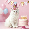 Pet Birthday Crown with Age Numbers, Adjustable Reusable Dog Birthday Hat