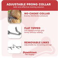 Downtown Pet Supply Chrome Plated Prong Collar for Dogs, Large - Adjustable, No-Choke and No Pull Dog Collar with Remova