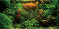 36x24 in Seagrass Aquarium Backdrop Aquatic Plant Fish Tank Background