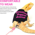 Bearded Dragon Harness and Leash Set Adjustable Reptile Lizard Leash Rope Vest Clothes Starter Kit Accessories for Small