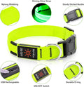 Illumifun LED Dog Collar, USB-C Rechargeable Light Up Collar Glow in Dark, Adjustable Pet Safety Lights for Night Walkin