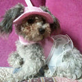 Round Brim Princess Hat Visor Hat Pet Dog Mesh Porous Sun Hat with Ear Holes for Small, Extra Small Dog Teddy, Pug, Chih