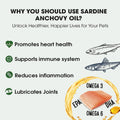 Sardine Anchovy Oil | 1296mg Omega | Unscented Pharmaceutical Grade | For Dogs & Cats | BPA-Free Brushed Aluminum Epoxy Coated Bottle with Pump 17 OZ