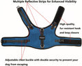 Mini Dachshund Harness Vest, No Pull & No Armpit Rub Dachshund Harness, Escape Proof Adjustable Dog Harness for Walking