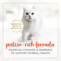 Purina Fancy Feast Salmon Feast Classic Grain Free Wet Cat Food Pate - (Pack of 24) 3 oz. Cans