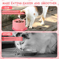 TranRantic 2 Pcs Raised Slow Feeder Cat Bowl, Plastic Elevated Cat Slow Feeder Bowl with Anti-Skid Mat, Raised Slow Cat Feeder for Dry and Wet Food (Green＆Pink)